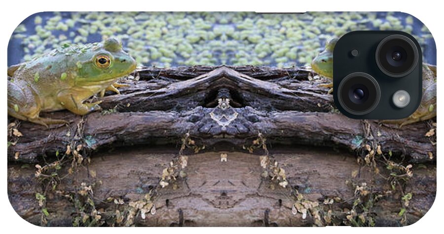 Frogs iPhone Case featuring the photograph Ribbit And Ribbit by J Laughlin
