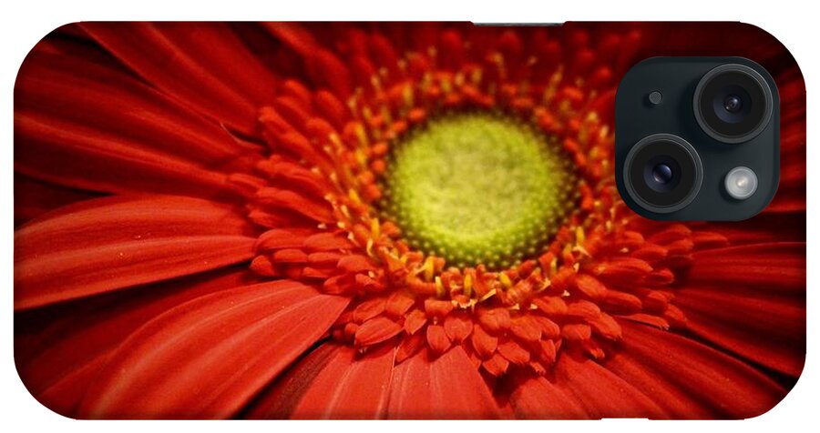 Flower iPhone Case featuring the photograph Rich Reds by Deena Withycombe