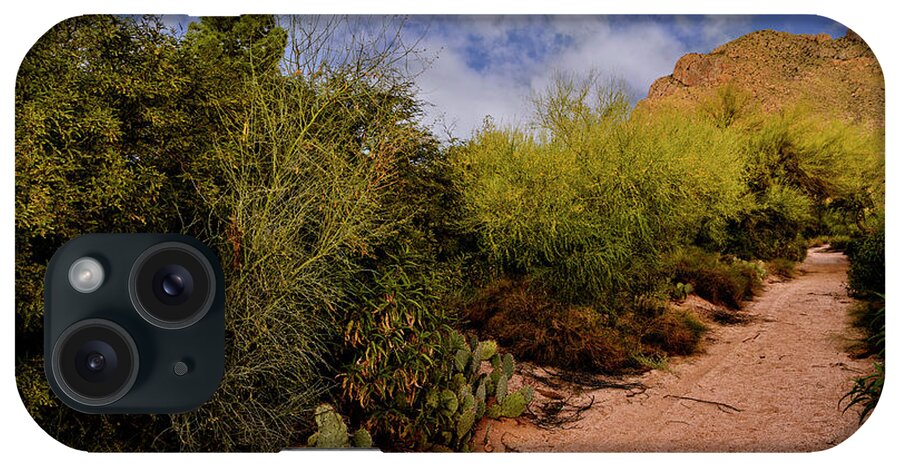 Oro Valley iPhone Case featuring the photograph Ridge Trail No1 by Mark Myhaver