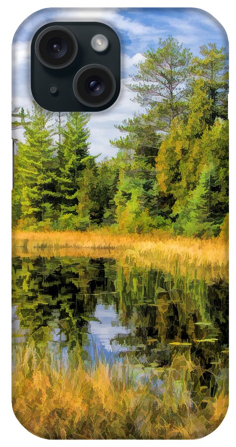 Door County iPhone Case featuring the painting Ridges Sanctuary Reflections by Christopher Arndt