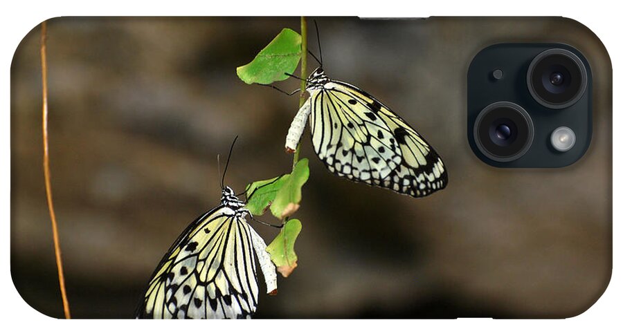 Butterflies iPhone Case featuring the photograph Right and Left Wings by Teresa Blanton