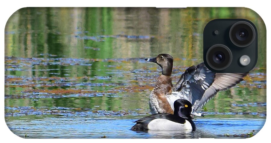Ring-necked Duck iPhone Case featuring the photograph Ring-necked Duck - 1 by Alan C Wade