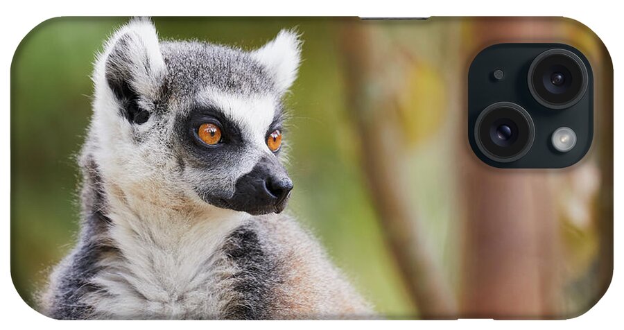 Animal iPhone Case featuring the photograph Ring-tailed lemur closeup by Nick Biemans