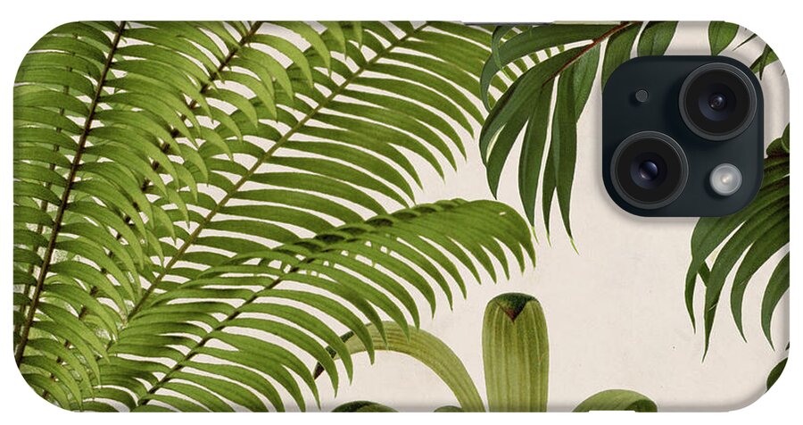Leaves iPhone Case featuring the painting Rio II by Mindy Sommers
