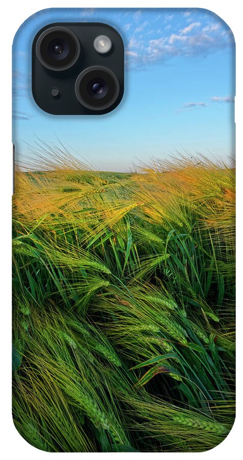 Barley iPhone Case featuring the photograph Ripening Barley by Dan Jurak