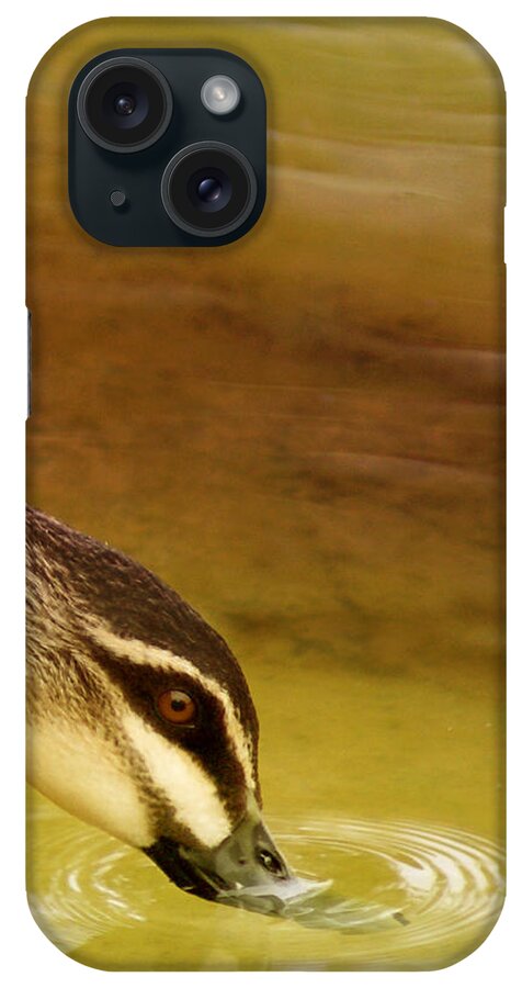 Animals iPhone Case featuring the photograph Ripples by Holly Kempe