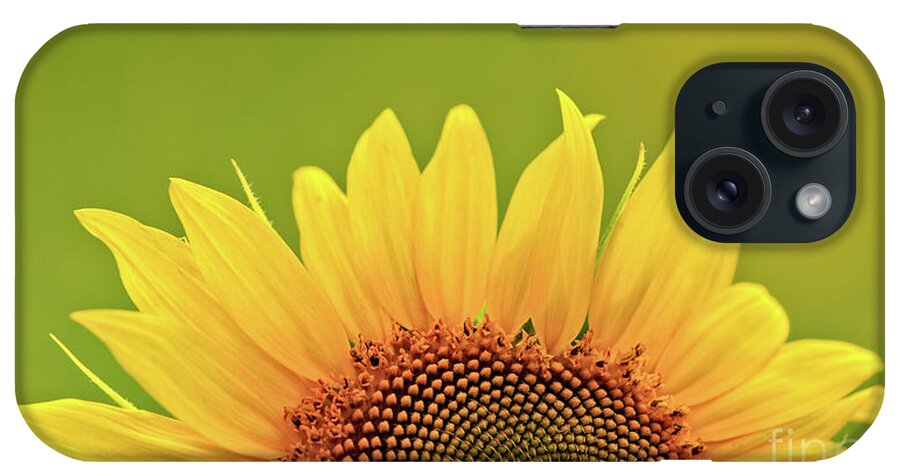 Anderson Sunflower Farm iPhone Case featuring the photograph Rise And Shine by Doug Sturgess