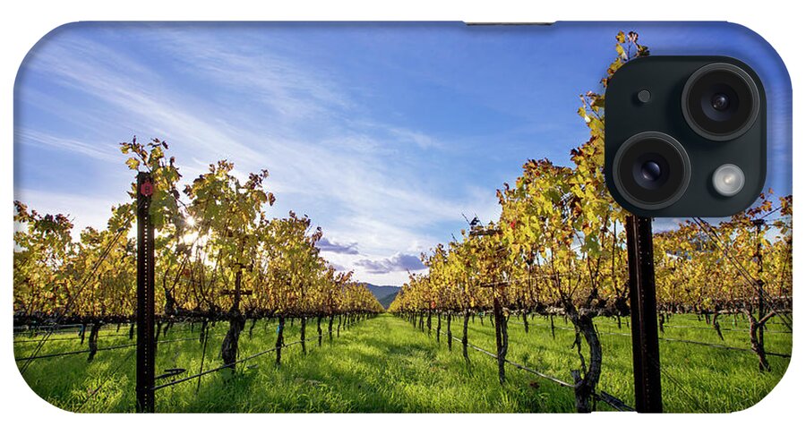 Napa iPhone Case featuring the photograph Rise and Shine by Jon Neidert