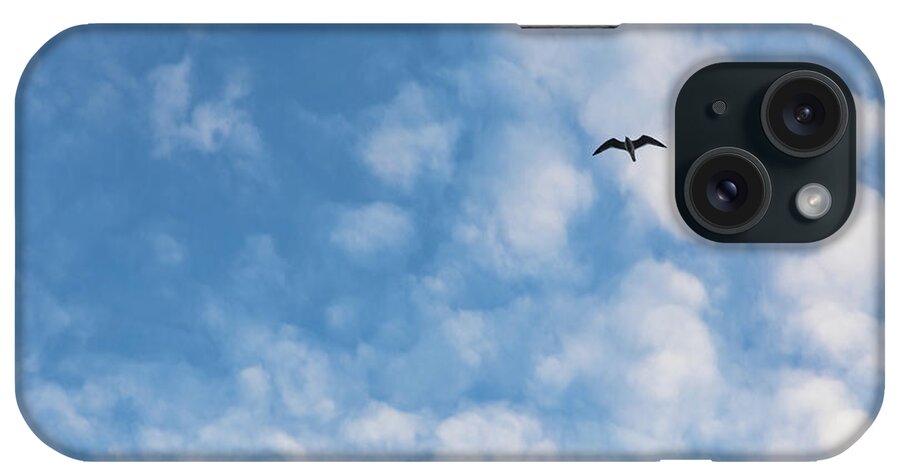 Gull iPhone Case featuring the photograph Rising Above by Penny Meyers