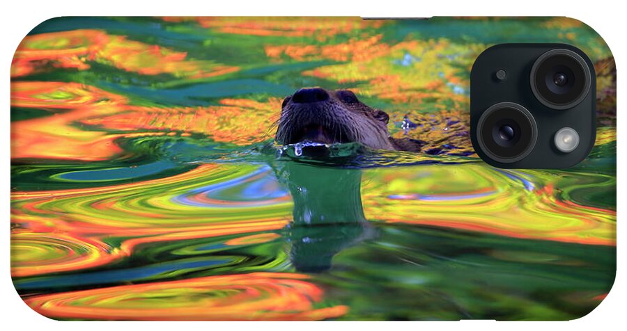 River iPhone Case featuring the photograph River Otter and autumn color by Gary Corbett