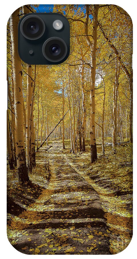 Nature iPhone Case featuring the photograph Road to Gold in Colorado by Steven Reed