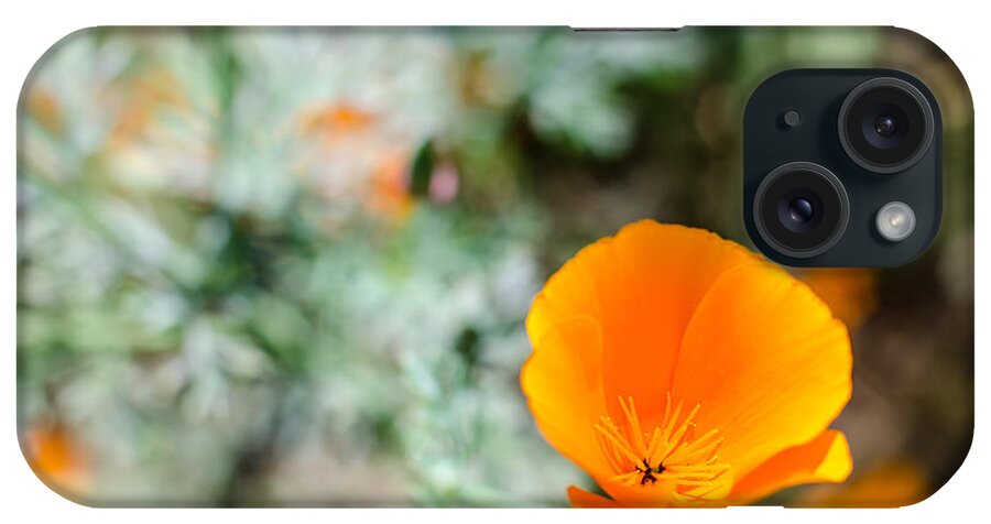 Poppies iPhone Case featuring the photograph Roadside beauty by Tom Potter