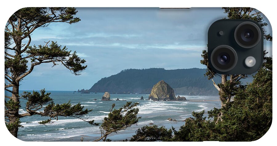 Coast iPhone Case featuring the photograph Roadside View by Robert Potts