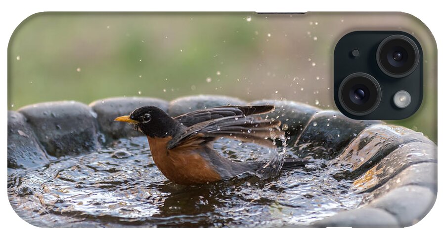 Terry Deluco iPhone Case featuring the photograph Robin In Bird Bath New Jersey by Terry DeLuco