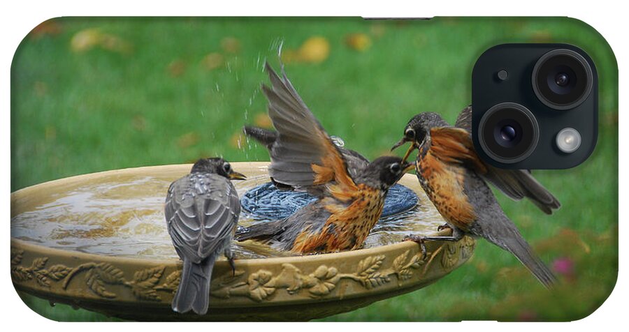 Three iPhone Case featuring the photograph Robins bathing by Wanda Jesfield