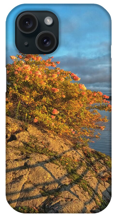 St Lawrence Seaway iPhone Case featuring the photograph Rock And Hydrangeas by Tom Singleton