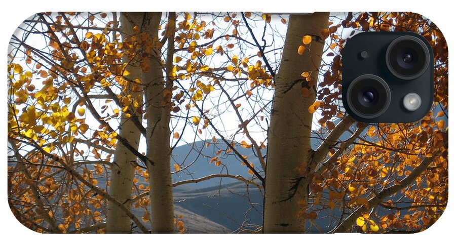 Aspen iPhone Case featuring the photograph Rockies Autumn Haiku cover by Judith Lauter