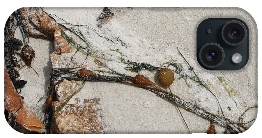 Landscape iPhone Case featuring the photograph Rocks longside by Kathleen Grace