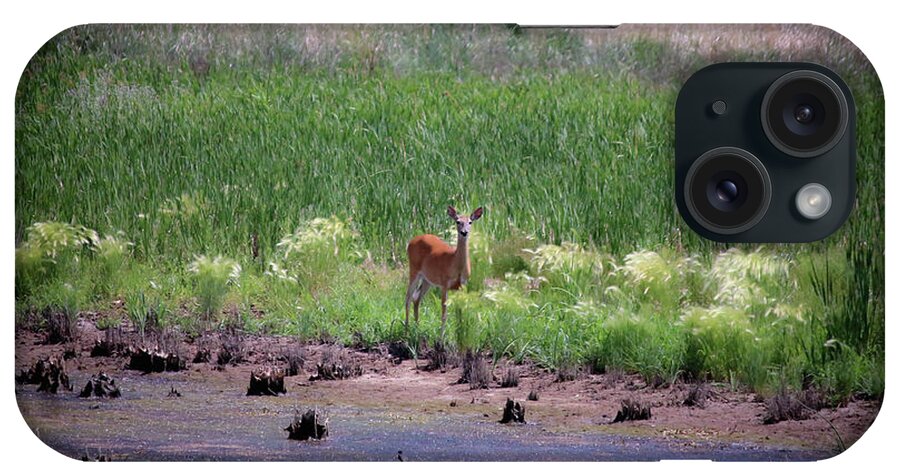Deer iPhone Case featuring the photograph Rocky Mountain Arsenal National Wildlife Refuge by Veronica Batterson