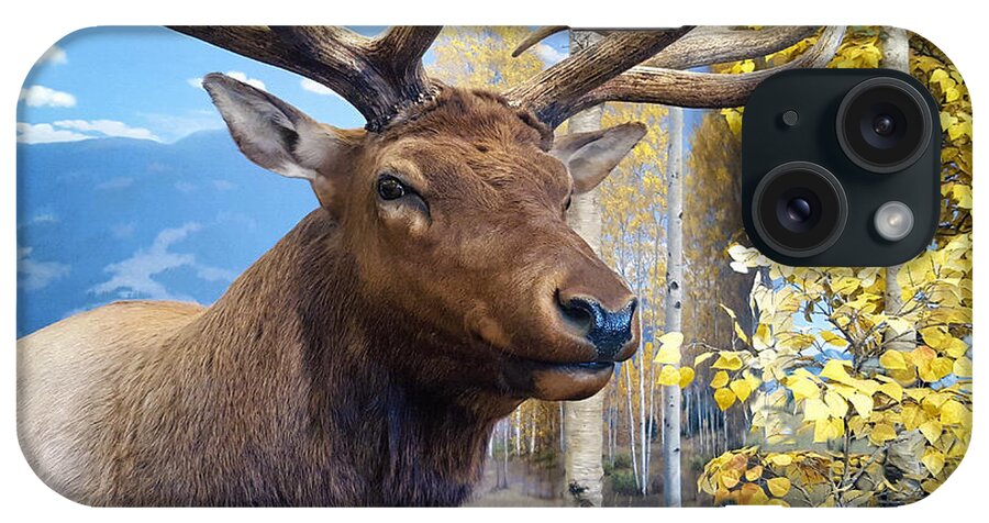 Rocky Mountain Elk iPhone Case featuring the photograph Rocky Mountain Elk by Karon Melillo DeVega