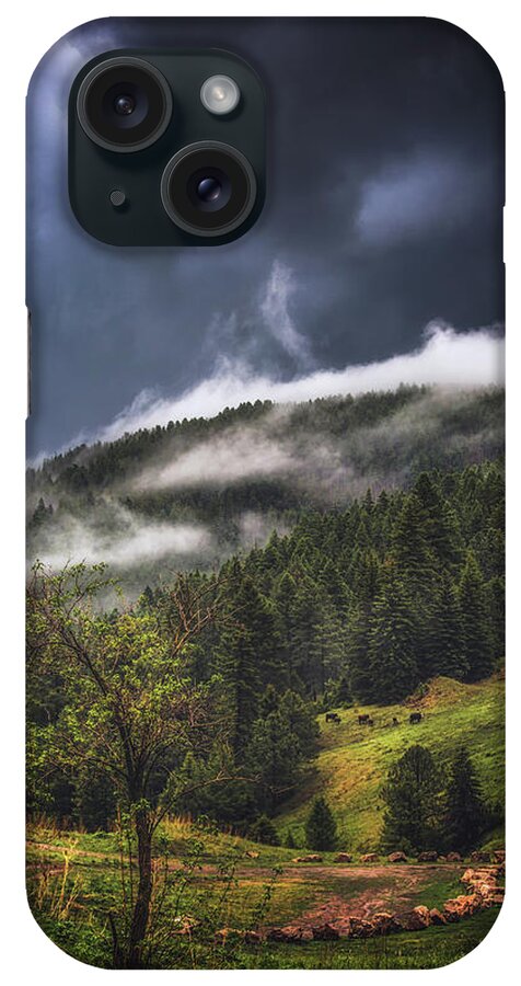 Nature iPhone Case featuring the photograph Rolling Through the Trees by Jason Roberts