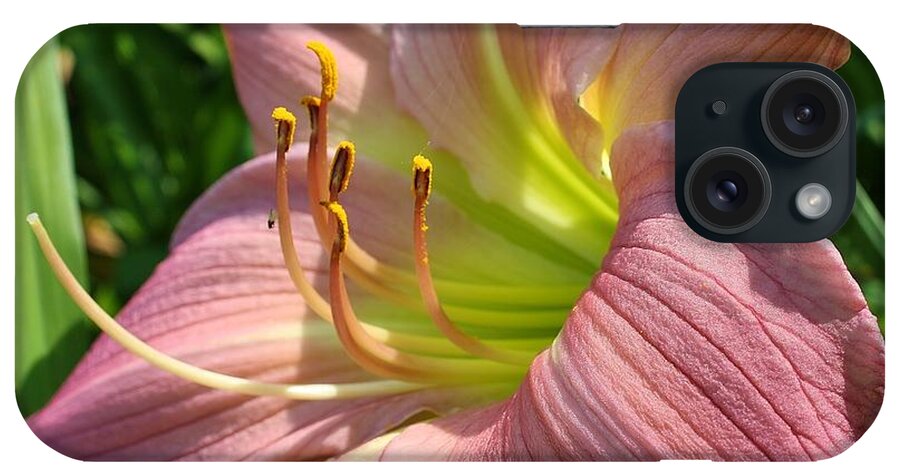 Flora iPhone Case featuring the photograph Romance in the Afternoon by Bruce Bley