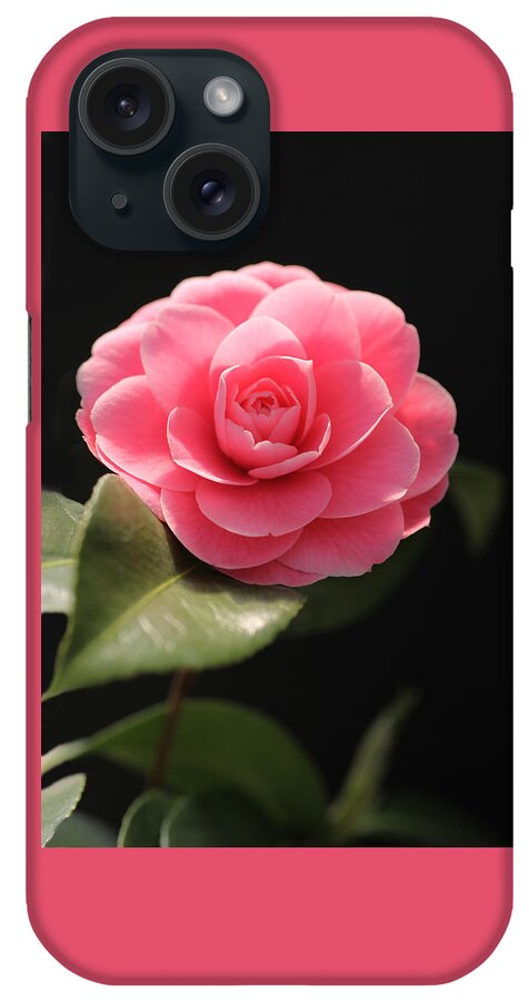 Romantic iPhone Case featuring the photograph Romantic Camellia by Tammy Pool