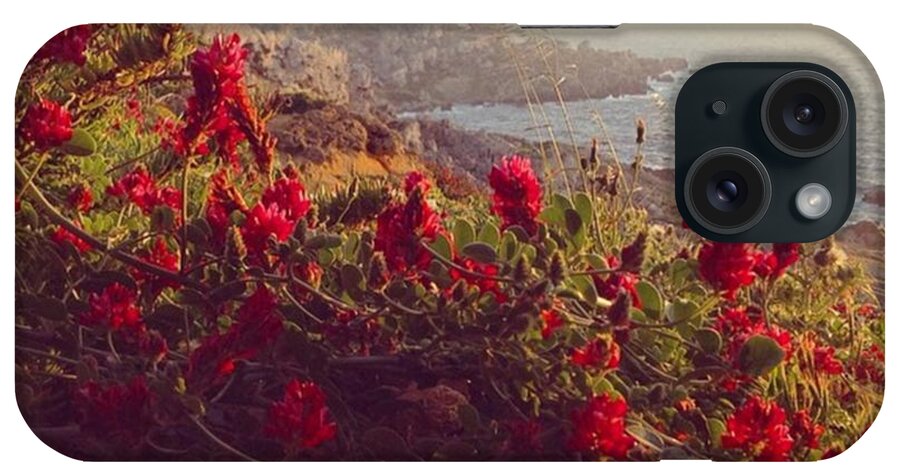 Europe iPhone Case featuring the photograph Flowers of Malta 7 #1 by Sacha Kinser