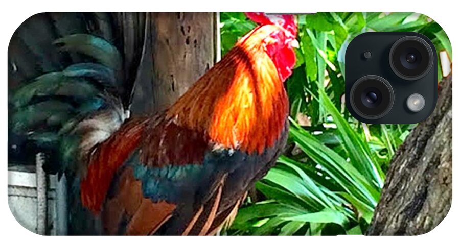 Rooster iPhone Case featuring the photograph Rooster in Key West by Mary Pille