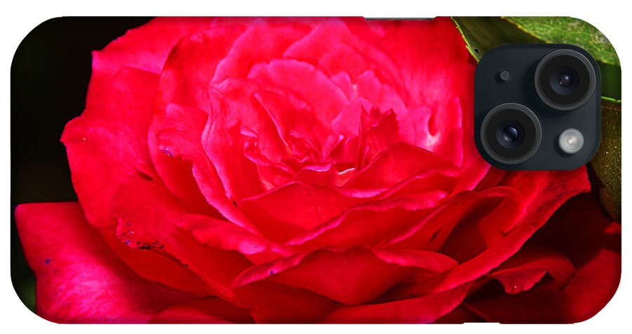 Flower iPhone Case featuring the photograph Rose by Anthony Jones