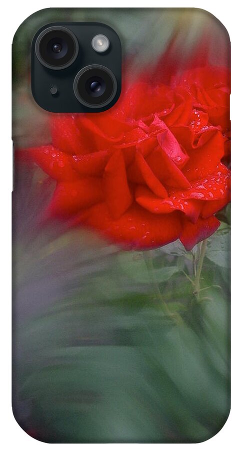 Rose iPhone Case featuring the photograph Rose Aug 2016 by Richard Cummings