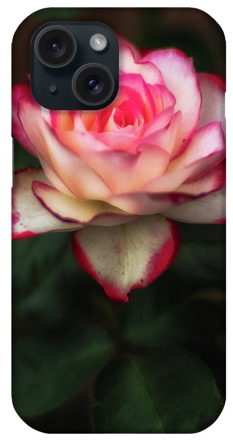 Anniversary iPhone Case featuring the photograph Rose by Bill Frische