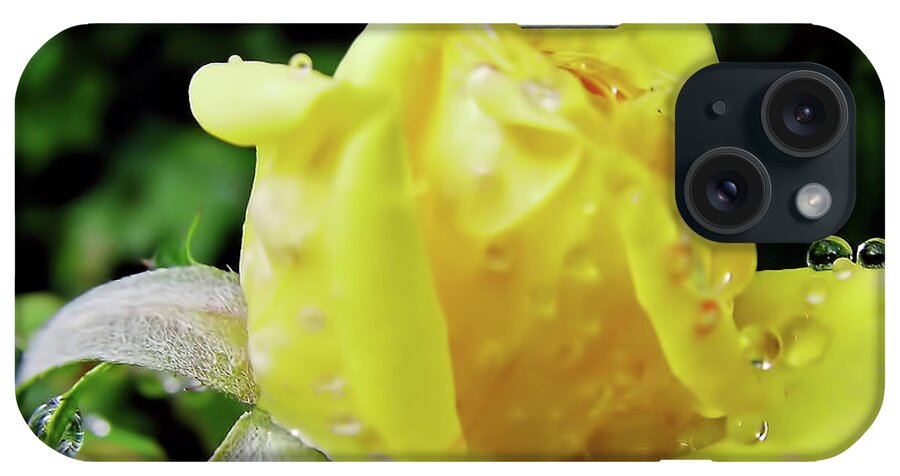 Roses iPhone Case featuring the photograph Rose Bud Dew Drops by D Hackett