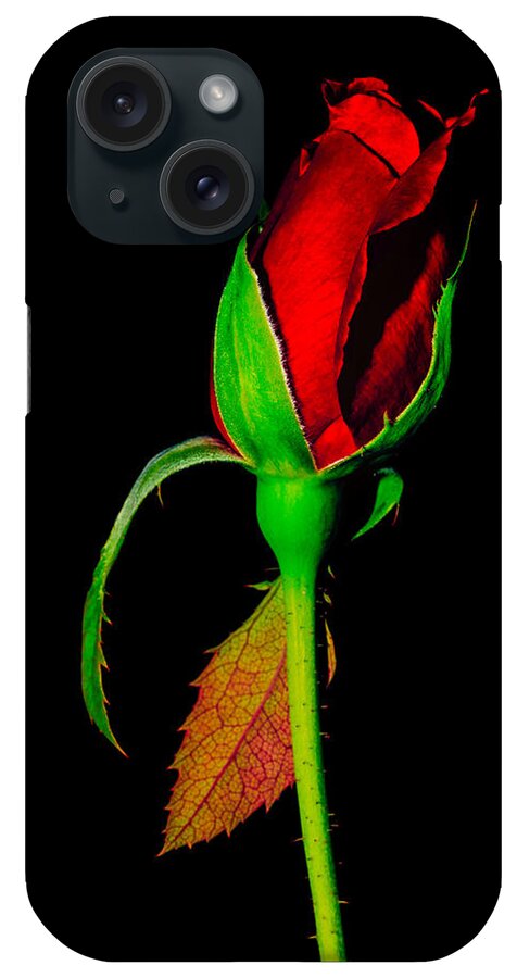 Macro iPhone Case featuring the photograph Rose Bud on Black by Steve Stephenson
