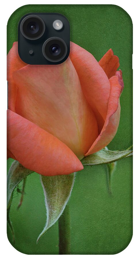 Flowers iPhone Case featuring the photograph Rose in Bloom by Nikolyn McDonald