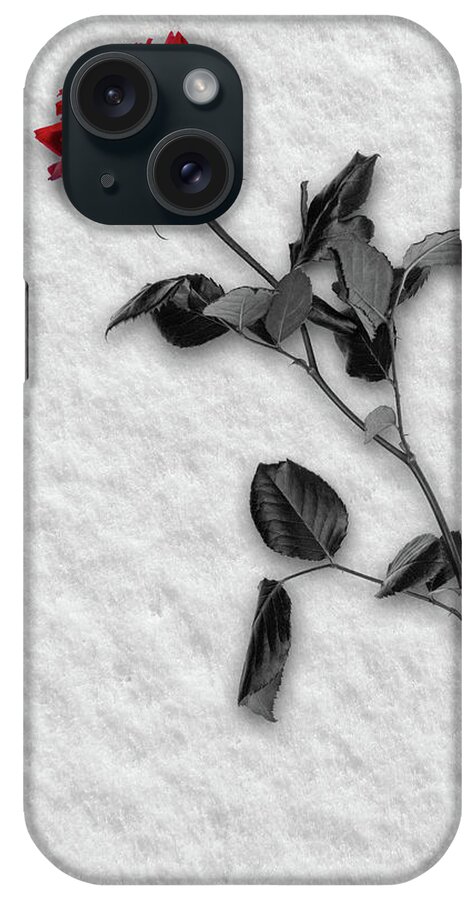 Red iPhone Case featuring the photograph Rose in Snow by Wim Lanclus