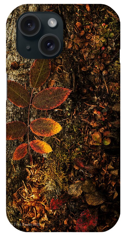 Fall iPhone Case featuring the photograph Rose Leaf and the forest floor by Fred Denner