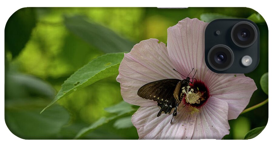 Flower iPhone Case featuring the photograph Rose Mallow by Reva Dow