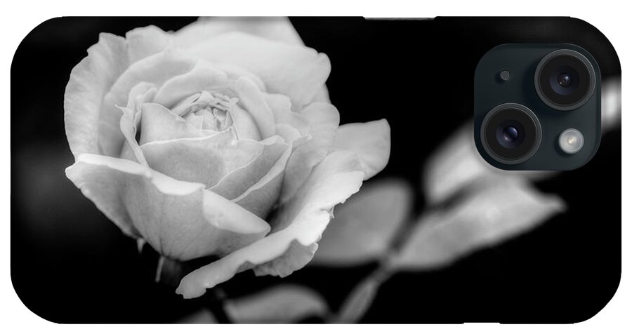 Colorado iPhone Case featuring the photograph Rose by Norman Reid