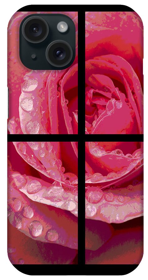 Rose iPhone Case featuring the photograph Rose Window by Hazy Apple