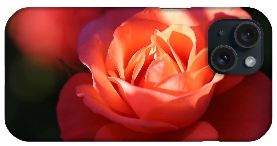 Rose iPhone Case featuring the photograph Rose with a Glow by Tammy Pool
