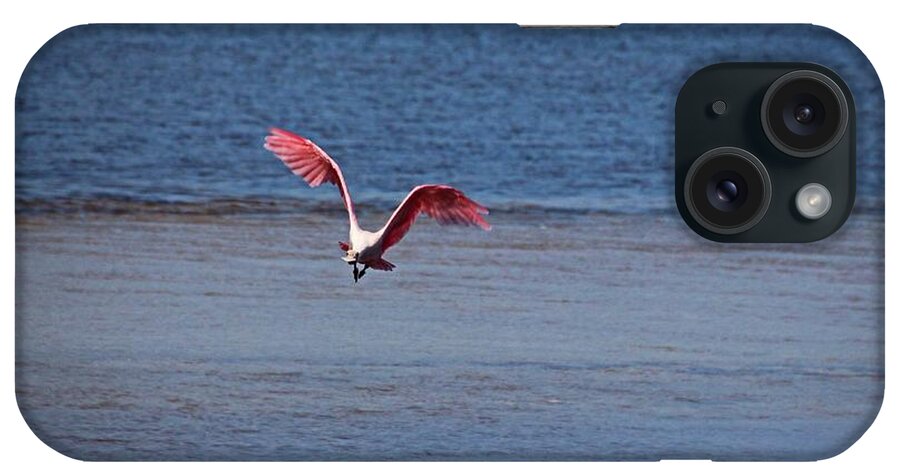 Roseate Spoonbill iPhone Case featuring the photograph Roseate Spoonbill in Flight IV by Michiale Schneider