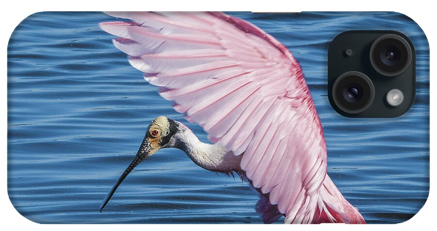 Bird iPhone Case featuring the photograph Roseate Spoonbill Profile With Wings Over Her Head by William Bitman