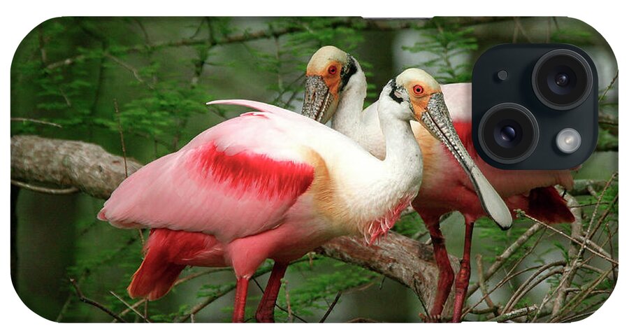 Nature iPhone Case featuring the photograph Roseate Spoonbills by Jim E Johnson