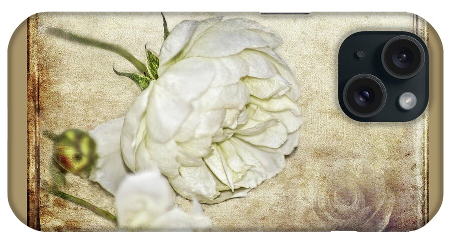 Eureka Springs iPhone Case featuring the photograph Roses by Carolyn Marshall