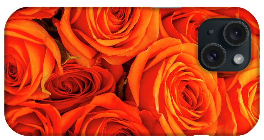 Valentine iPhone Case featuring the photograph Roses in Orange by Teri Virbickis
