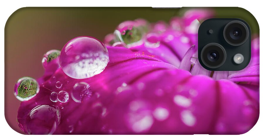 Astoria iPhone Case featuring the photograph Rosy Campion by Robert Potts