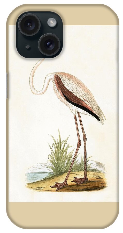 Flamingo iPhone Case featuring the painting Rosy Flamingo by English School