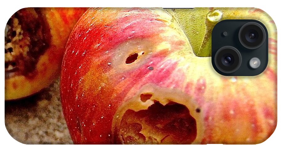 Apple iPhone Case featuring the photograph Rotten Apples by Elisabeth Derichs