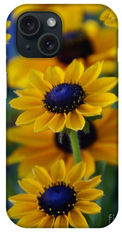 Yellow iPhone Case featuring the photograph Royal Blue by Linda Shafer